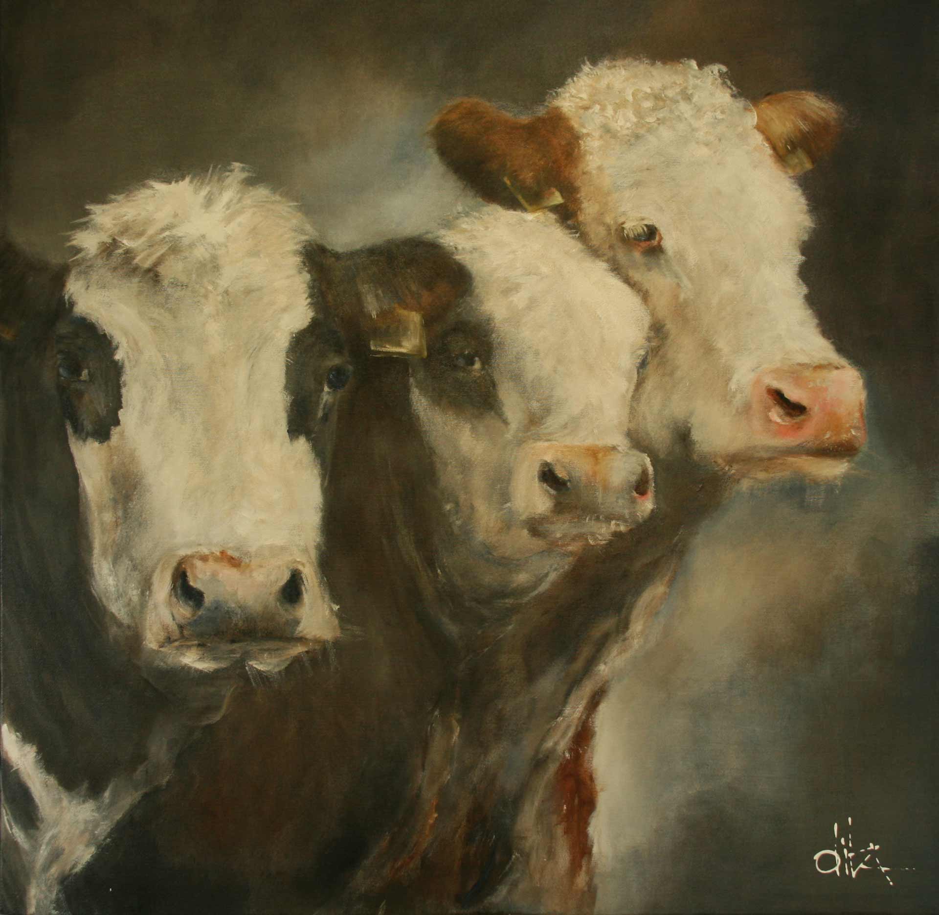 Drie koeien